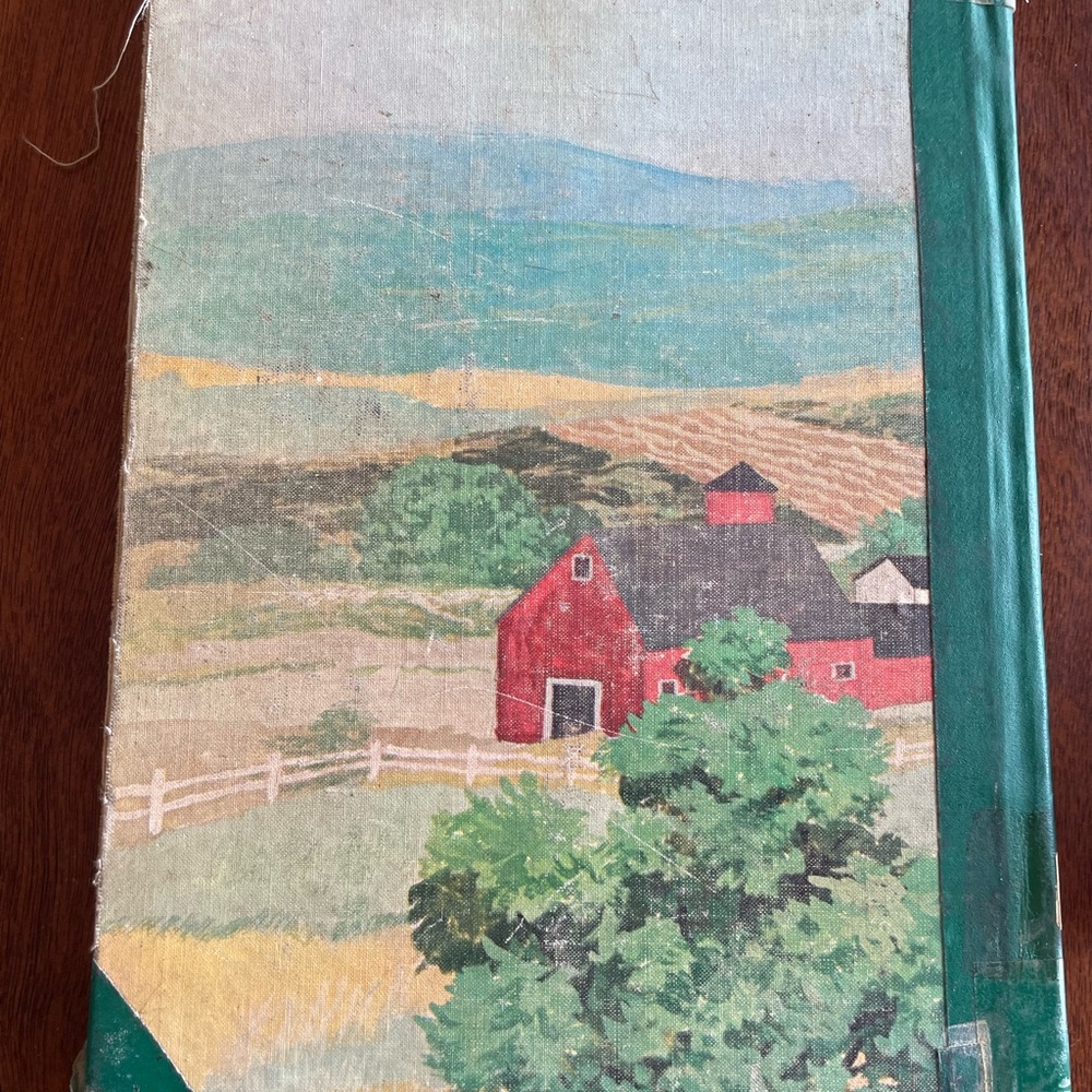 Vintage Anne of Green Gables Book — See Photos for Condition - Picture 2 of 11
